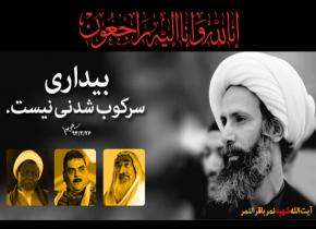 انتشار بیانیه در محکومیت شهادت شیخ نمر